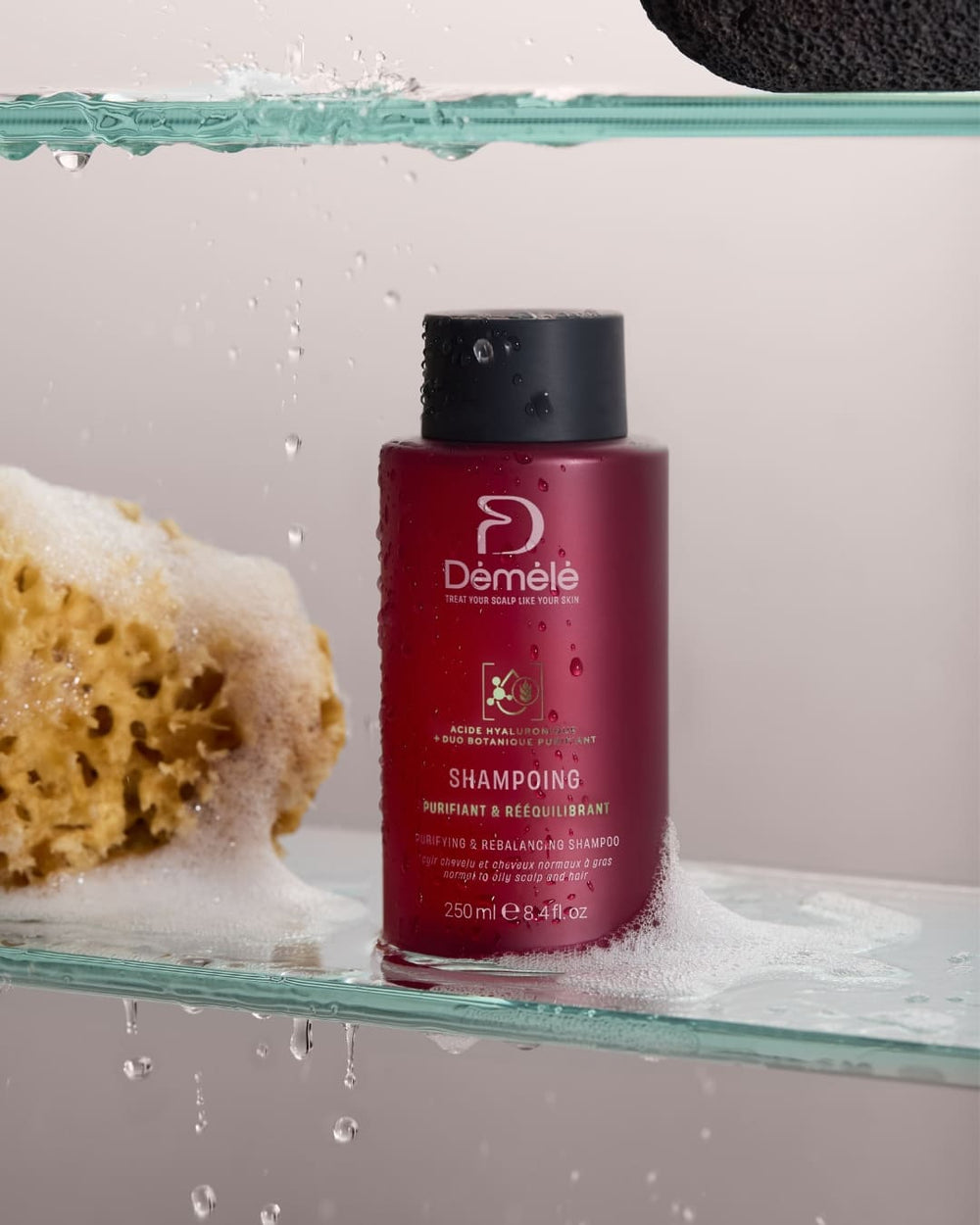 Shampoing Purifiant & Rééquilibrant