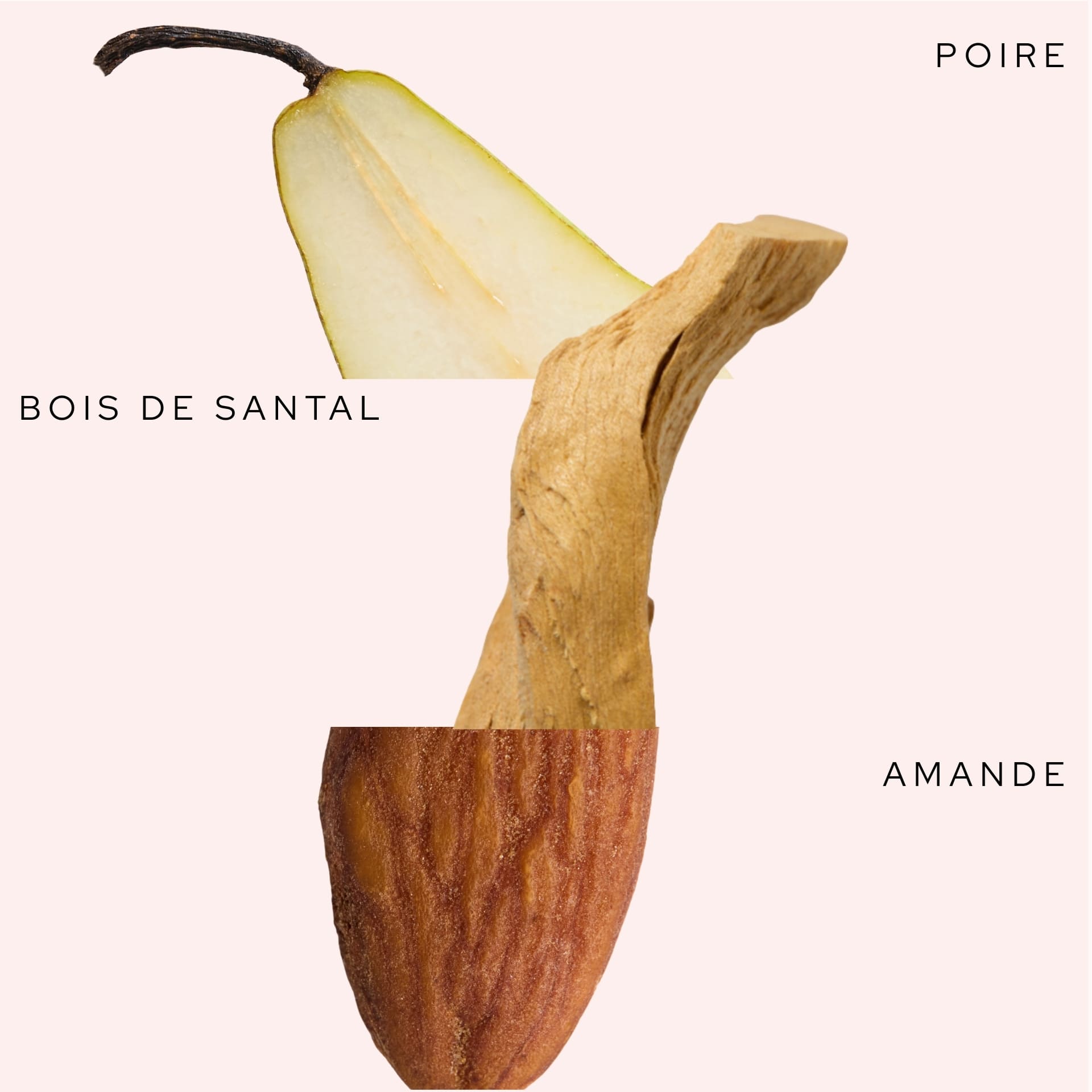 Notes olfactives du masque fortifiant et démêlant Démélé aux accords poire juteuse, amande douce et bois de santal, pour un soin enveloppant et réconfortant.