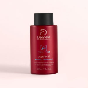 Shampoing hydratant et nourrissant Démélé, soin du cuir chevelu sec respectueux du microbiome
